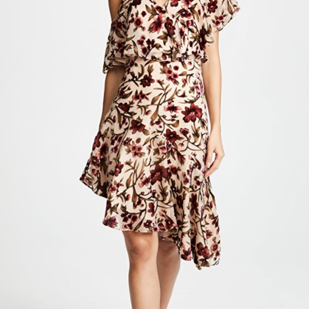 NWT Ali & Jay floral Velvet ruffle High-Low dress